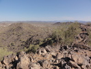 photo thumbnail #2
