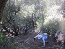 photo thumbnail #5