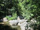 photo thumbnail #14