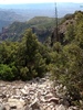 photo thumbnail #8