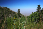 photo thumbnail #3
