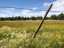 photo thumbnail #8