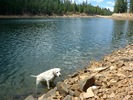 photo thumbnail #13
