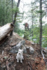 photo thumbnail #7