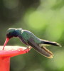 photo thumbnail #8