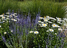 photo thumbnail #12