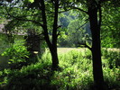 photo thumbnail #11