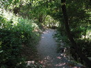 photo thumbnail #13