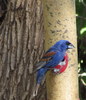 photo thumbnail #6