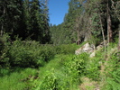 photo thumbnail #1