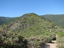 photo thumbnail #2