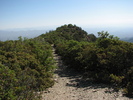 photo thumbnail #3