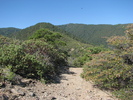 photo thumbnail #6