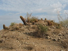 photo thumbnail #7