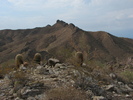 photo thumbnail #11