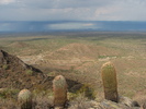 photo thumbnail #13