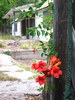 photo thumbnail #10