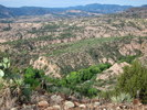 photo thumbnail #14