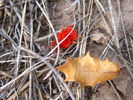 photo thumbnail #15