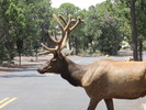 photo thumbnail #2