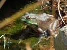 photo thumbnail #2