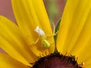 photo thumbnail #11