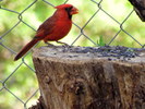 photo thumbnail #7