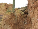 photo thumbnail #12