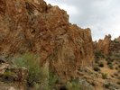 photo thumbnail #14