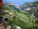 photo thumbnail #7