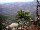 photo thumbnail #11