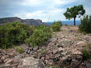 photo thumbnail #14