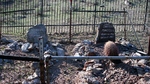 photo thumbnail #9