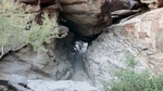 photo thumbnail #12