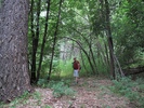 photo thumbnail #1