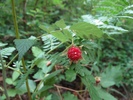 photo thumbnail #3