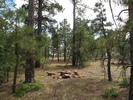 photo thumbnail #6