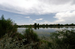 photo thumbnail #2