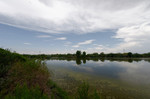 photo thumbnail #3
