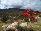 photo thumbnail #4