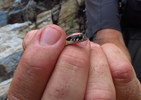 photo thumbnail #9