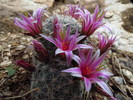 photo thumbnail #15