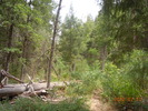 photo thumbnail #4