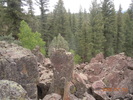 photo thumbnail #2