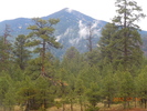 photo thumbnail #5
