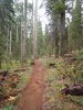 photo thumbnail #6
