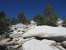 photo thumbnail #10