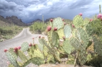 photo thumbnail #4