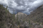photo thumbnail #5