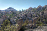 photo thumbnail #3